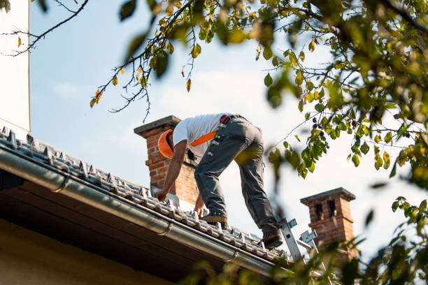 Best Local Roofing Companies  in South Charleston, OH